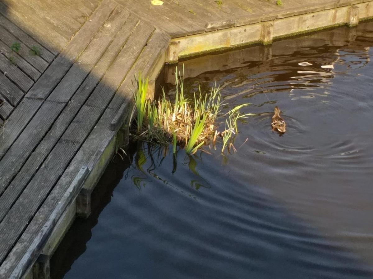 Huisje Aan Het Water, Omgeving Amsterdam Villa Zaandam Ngoại thất bức ảnh